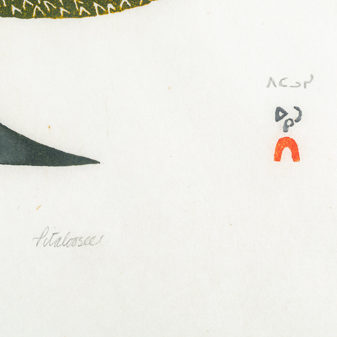 Pitaloosie Saila (Cape Dorset 1942-2021) "Kigavik"