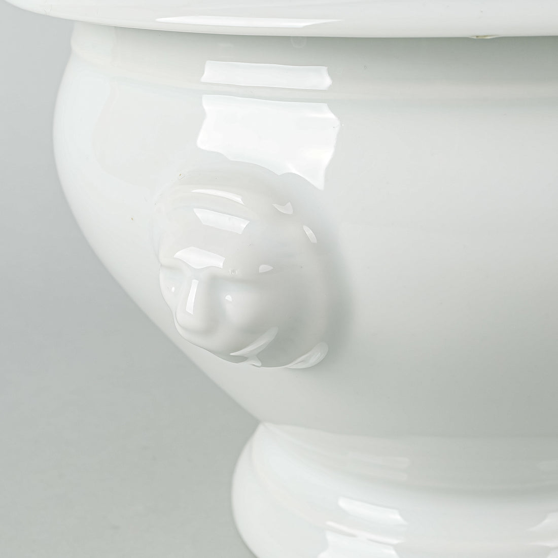 APILCO Lions Head Covered Soup Tureen
