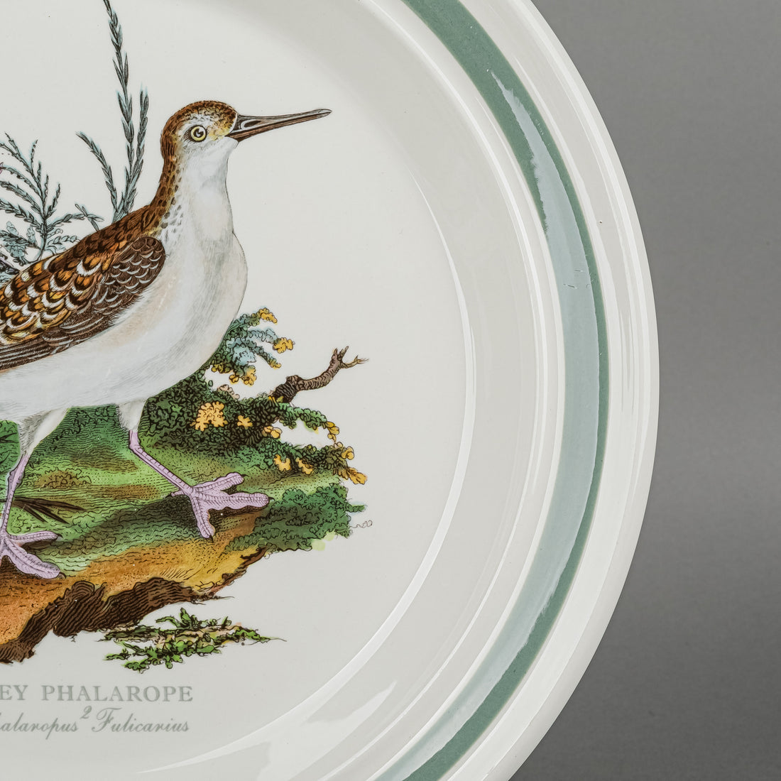 PORTMEIRION Birds Of Britain Dinner Plates Set Of 6