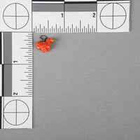 Carved Red Coral Duck Pendant