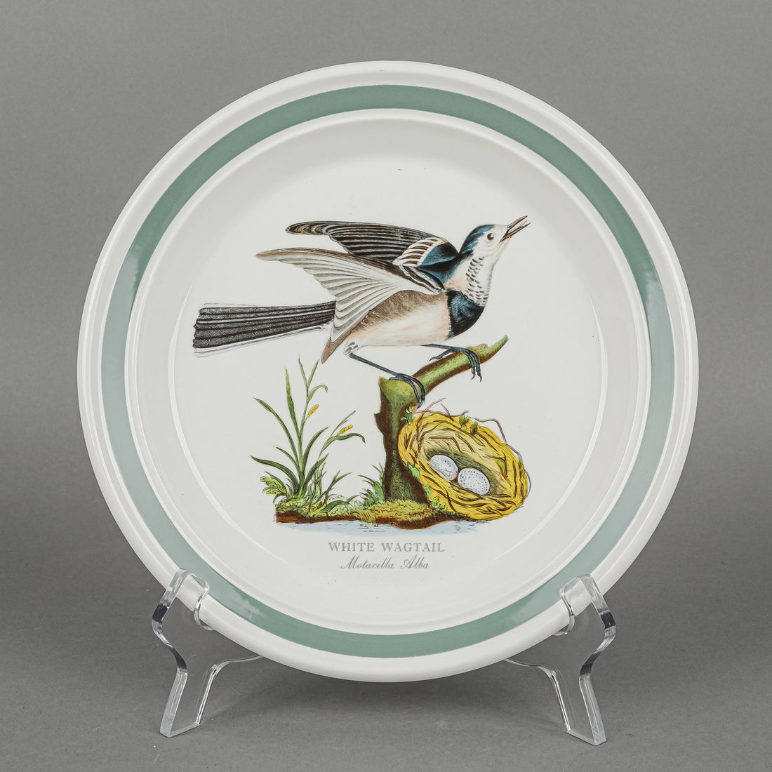 PORTMIERION Birds Of Britain Salad Plates Set Of 6