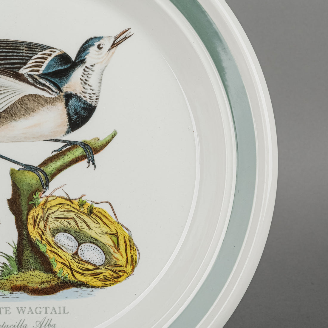 PORTMIERION Birds Of Britain Salad Plates Set Of 6