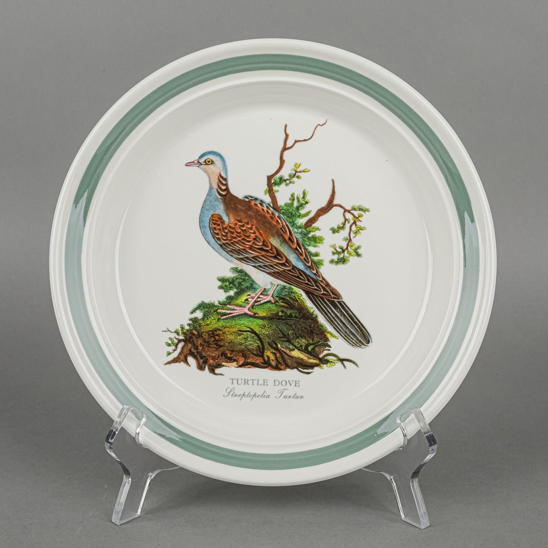 PORTMEIRION Birds Of Britain Salad Plates Set/6 D8.5"