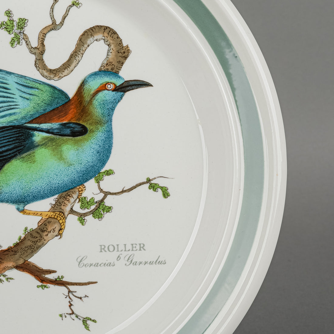PORTMEIRION Birds Of Britain Salad Plates Set/6 D8.5"