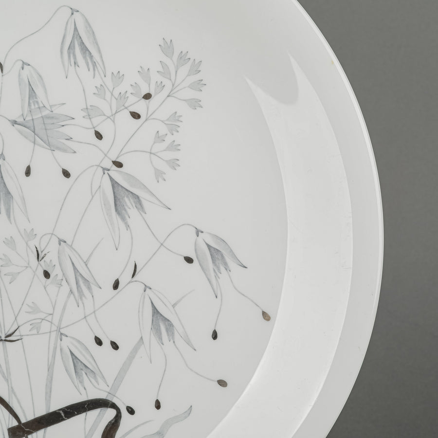 WEDGWOOD Wild Oats 40 Pieces