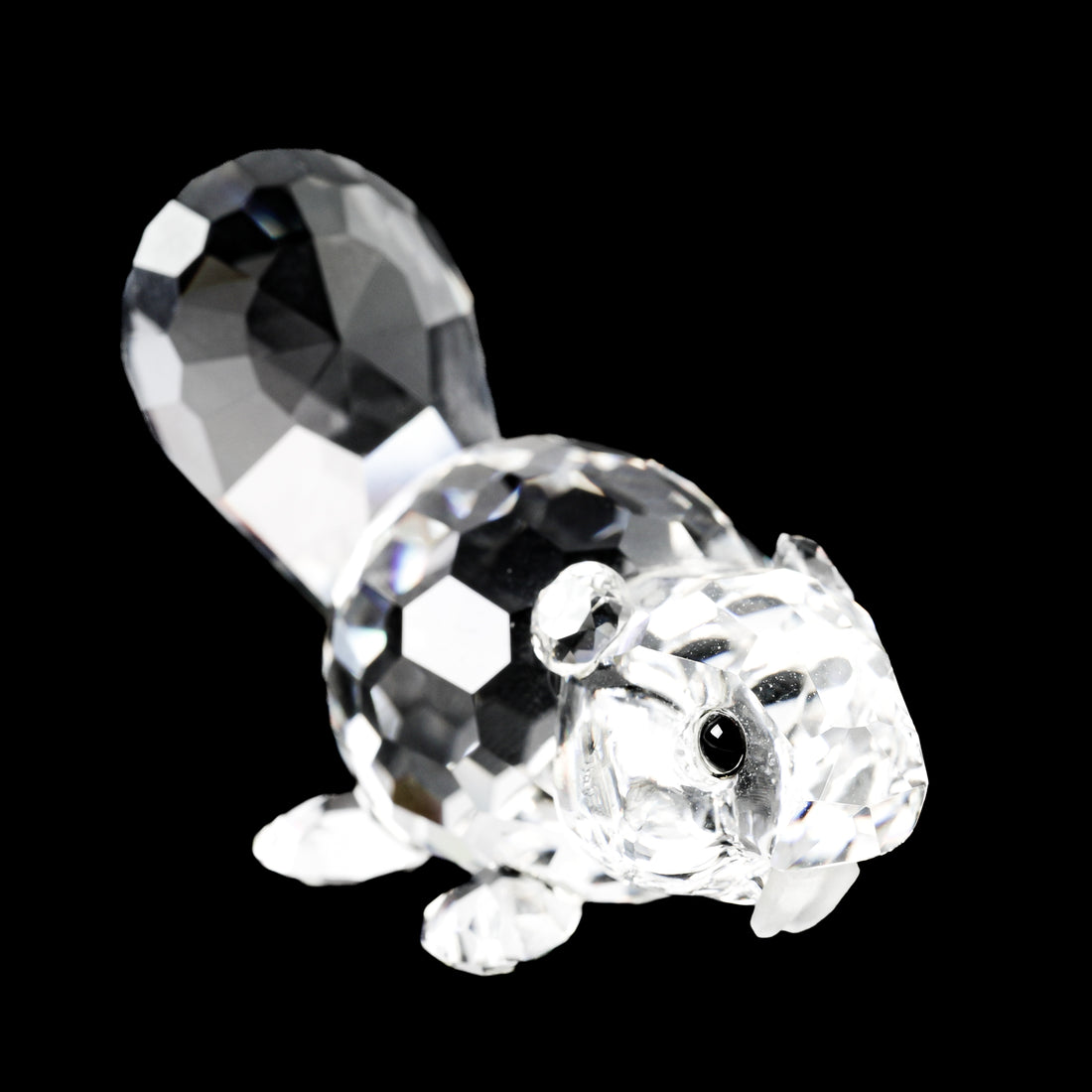 SWAROVSKI Baby Beaver Lying
