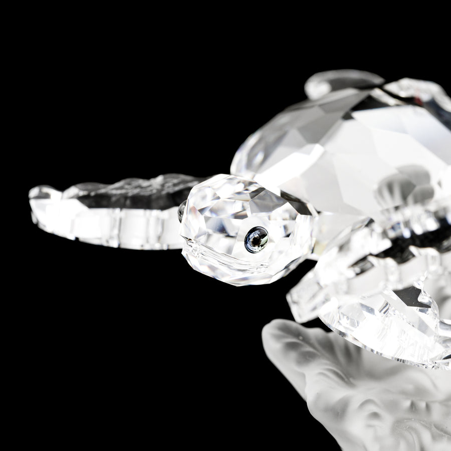 SWAROVSKI Baby Sea Turtles