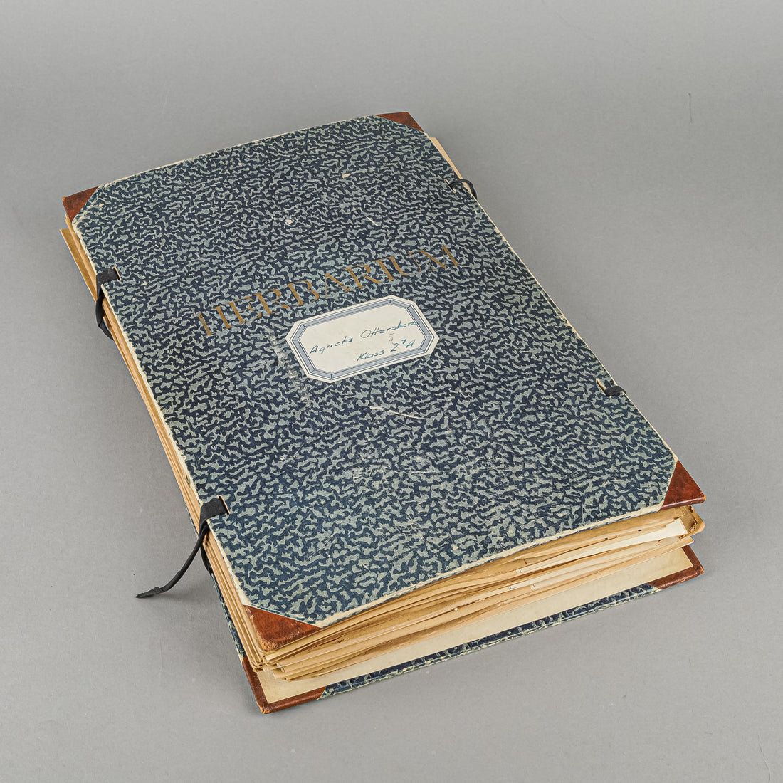 Vintage PIne Flower Press And Herbarium