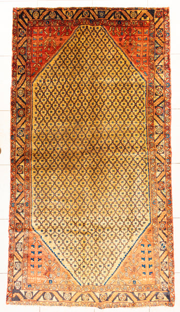 Hand Knotted Wool Zanjan Persian Rug