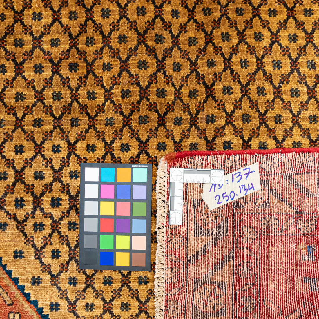 Hand Knotted Wool Zanjan Persian Rug
