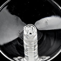 STUART Haworth Champagne Flutes Set Of 7
