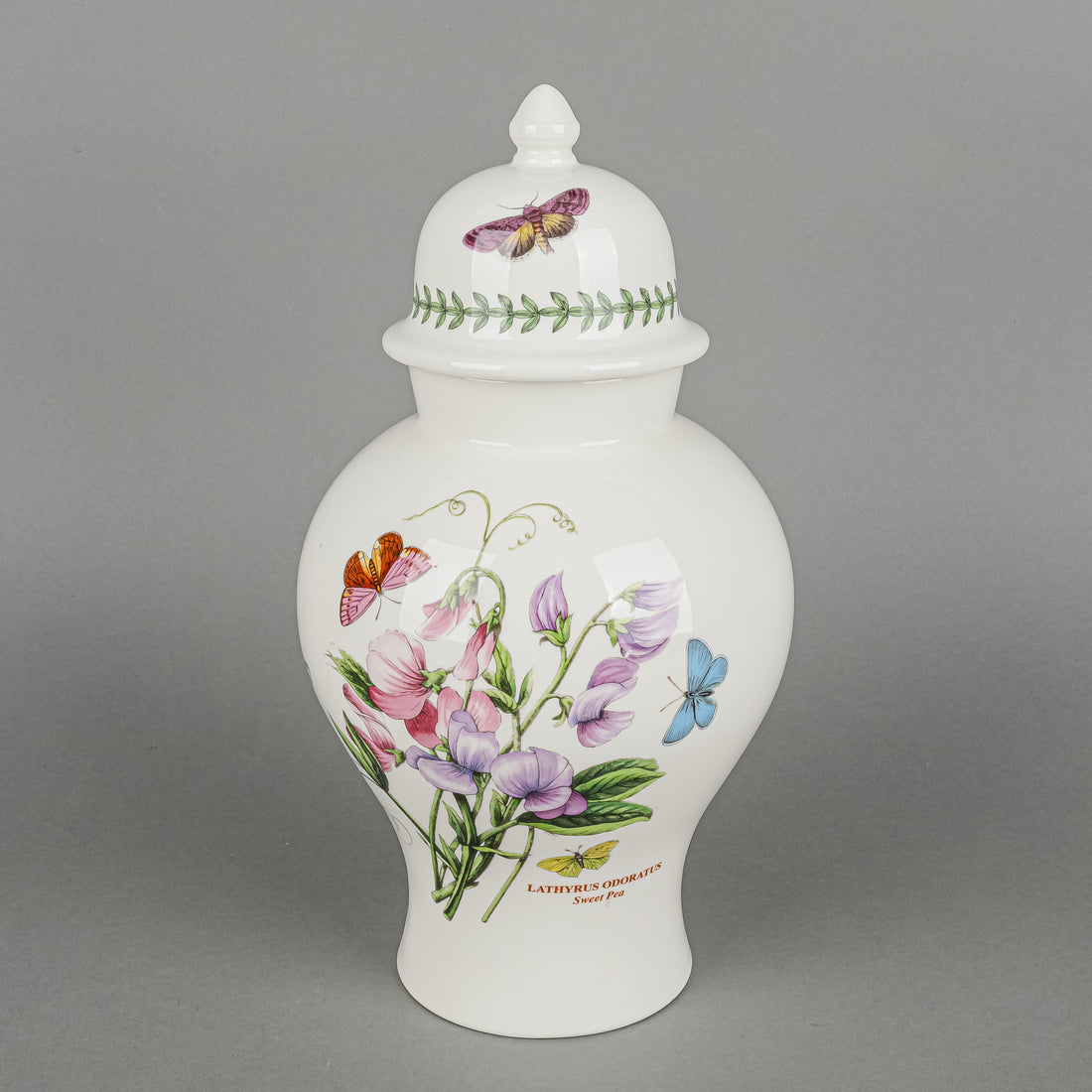 PORTMEIRION Botanic Garden Lidded Ginger Jar