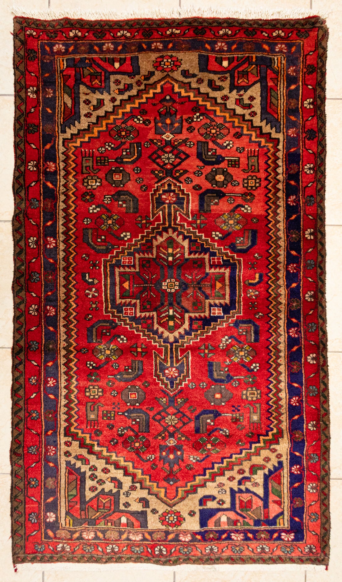 Hand Knotted Wool Hamadan Persian Rug