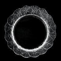 LALIQUE Honfleur/Geranium Salad Plate