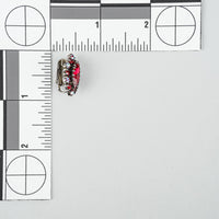 SHERMAN Japanned Siam Red AB Clipon Earrings