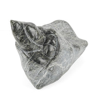 Simeonie Ohaituk (Inukjuak 1941) Man Sleeping In Bearskin