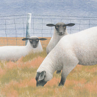 Alex Colville (Canadian 1920-2013) "Three Sheep"