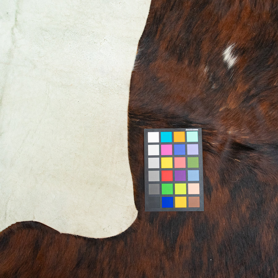 ELTE MKT Cowhide              Brown & White