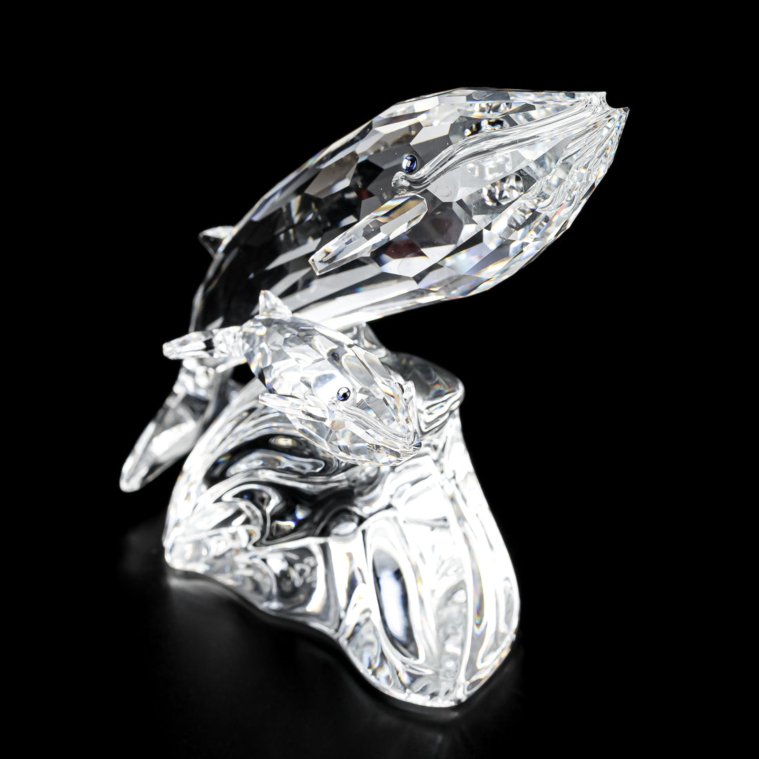 SWAROVSKI Whales Care For Me 164614