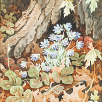 John Barrie Rennie (Canadian    1895-1965) "Hepaticas"