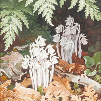 John Barrie Rennie (Canadian    1895-1965) "Indian Pipes"