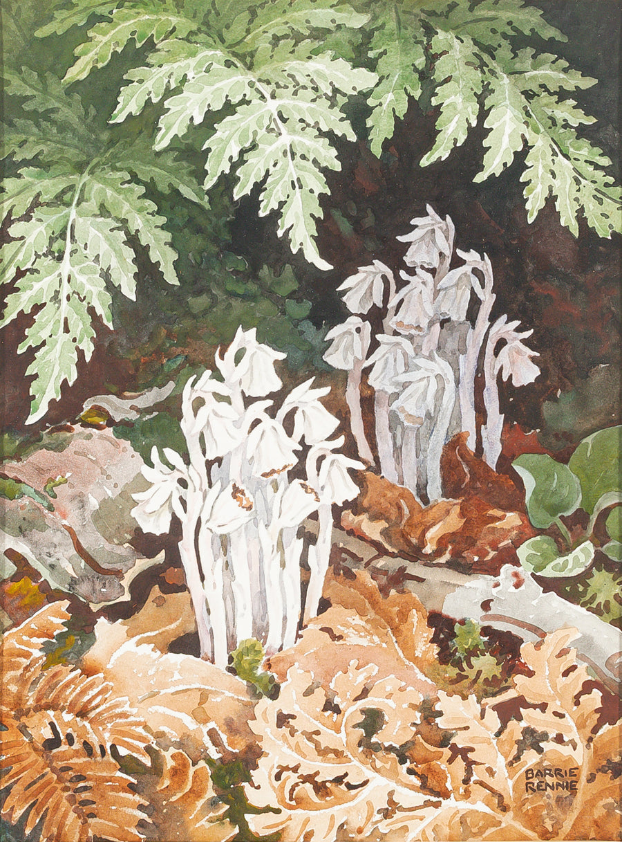 John Barrie Rennie (Canadian    1895-1965) "Indian Pipes"