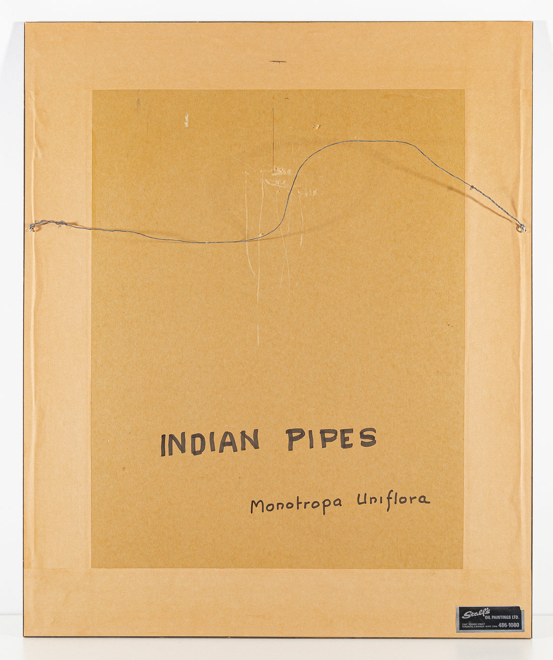 John Barrie Rennie (Canadian    1895-1965) "Indian Pipes"