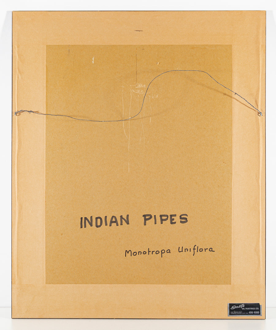 John Barrie Rennie (Canadian    1895-1965) "Indian Pipes"
