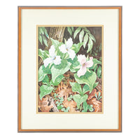 John Barrie Rennie (Canadian    1895-1965) "White Trilliums"