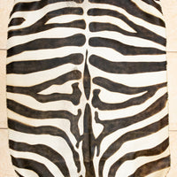Zebra Skin Rug