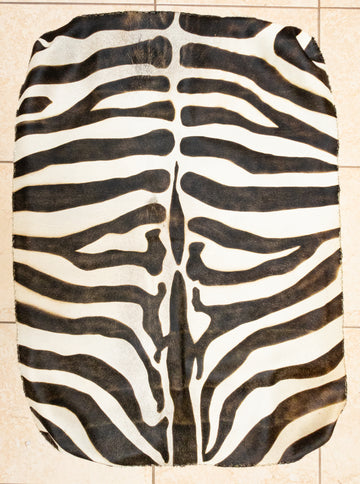 Zebra Skin Rug