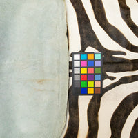 Zebra Skin Rug