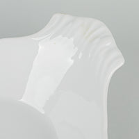 APILCO Oval Au Gratin Dish No 14