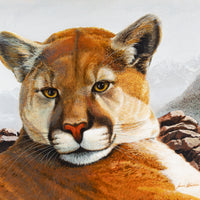 James Walker (Canadian) "Young Cougar" Acrylic On Board