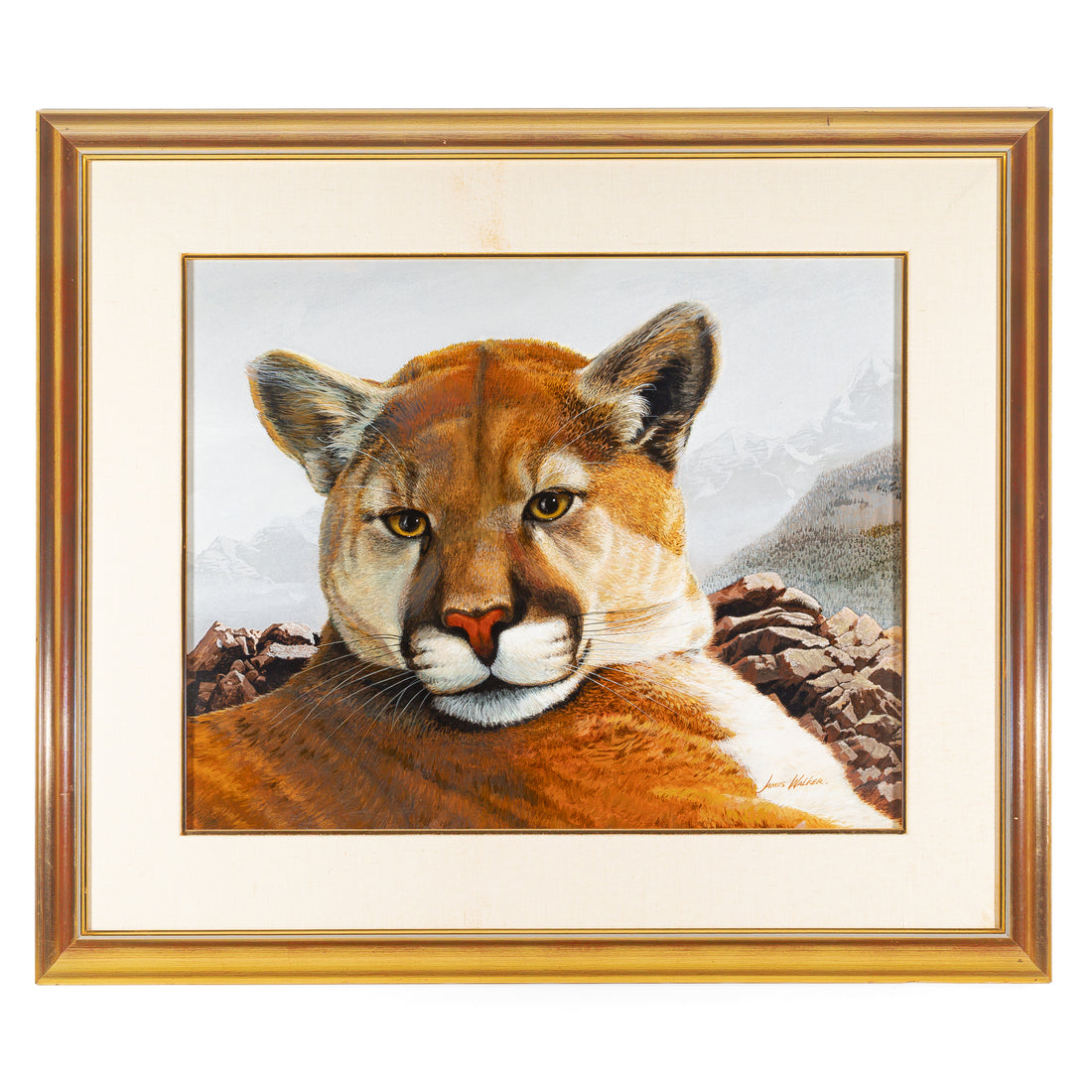 James Walker (Canadian) "Young Cougar" Acrylic On Board