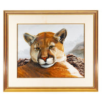 James Walker (Canadian) "Young Cougar" Acrylic On Board