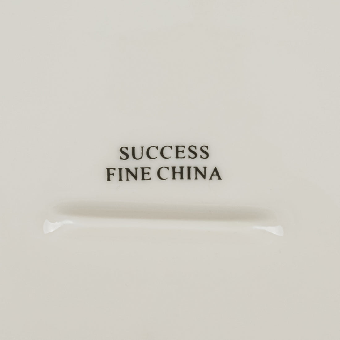 SUCCESS FINE CHINA Butterfly Platter