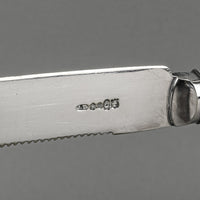 JAMES DEAKIN & SONS Sterling Handle Silverplate Cake Knife