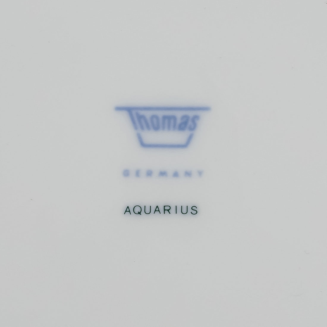 THOMAS Aquarius/Petrol 7 Place Settings Plus Extras