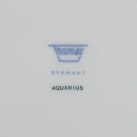 THOMAS Aquarius/Petrol 7 Place Settings Plus Extras