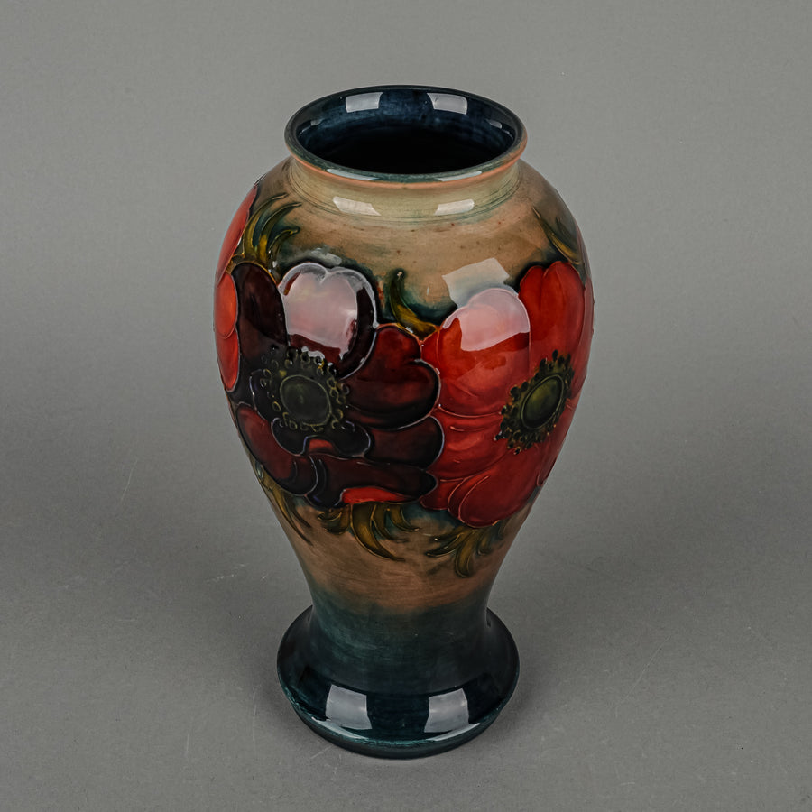 MOORCROFT Anemone Green/Blue Ground Vase