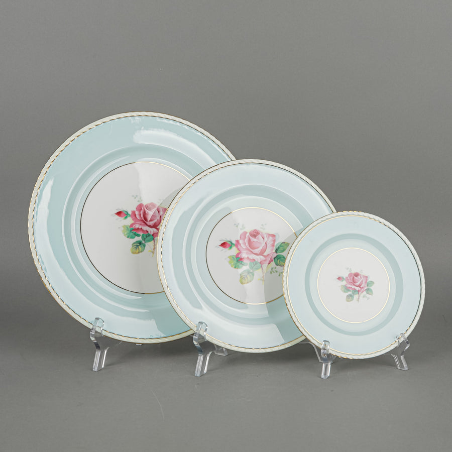 PARAGON A433/1 Rose Plates 19 Pieces