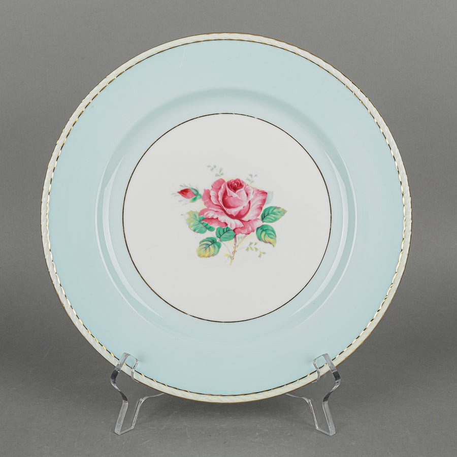 PARAGON A433/1 Rose Plates 19 Pieces