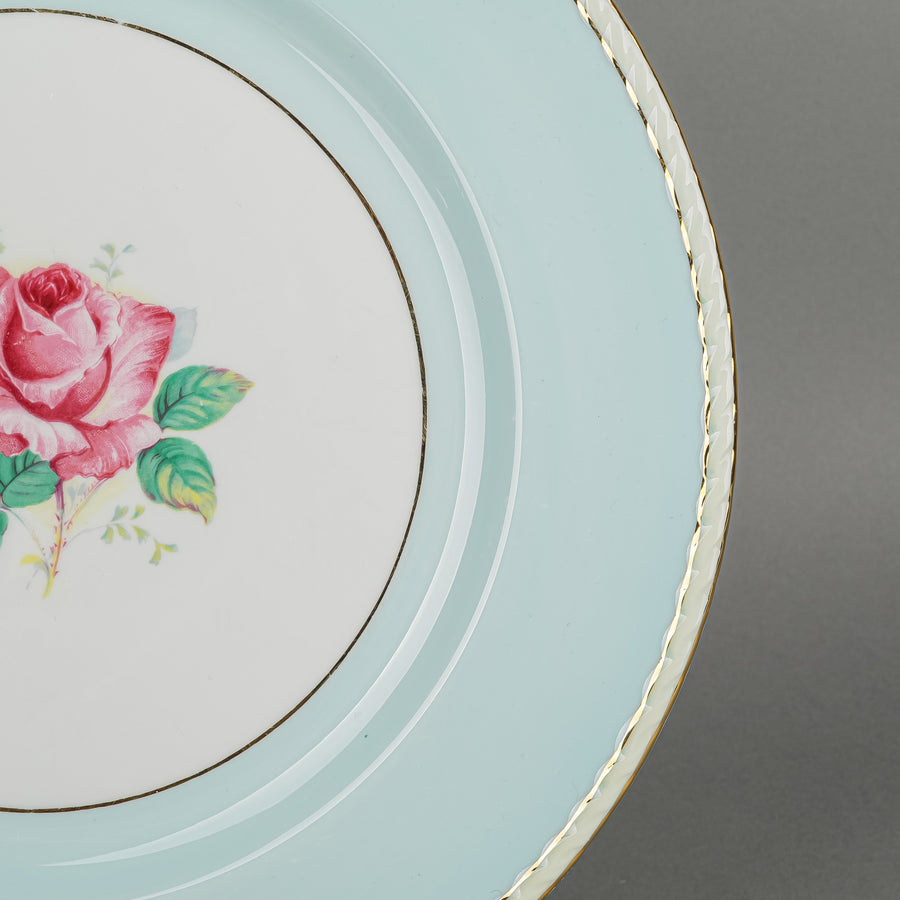 PARAGON A433/1 Rose Plates 19 Pieces