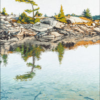 Mark Berens (Canadian 1977) Rocky Shore With Trees
