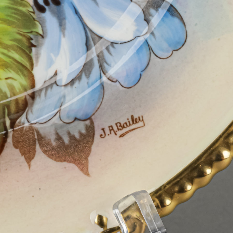 AYNSLEY JA Bailey Cabbage Rose Cabinet Plate