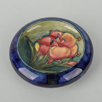 MOORCROFT Hibiscus Blue Ground Rolled Edge Dish