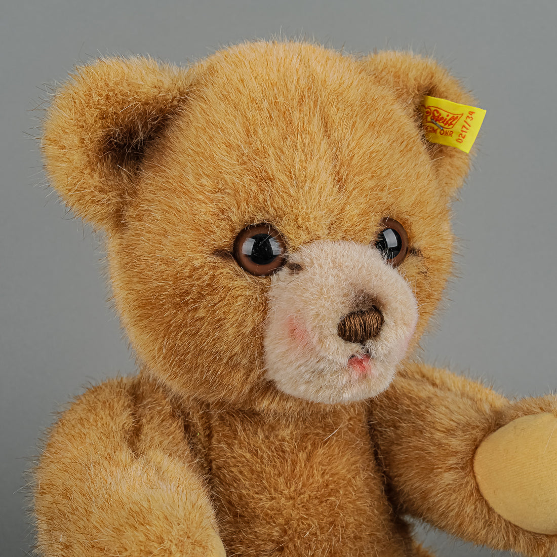 STEIFF 0217/34 Dorma Teddy Bear - Growler
