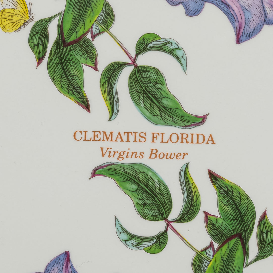 PORTMEIRION Botanic Garden Platter