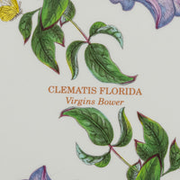 PORTMEIRION Botanic Garden Platter